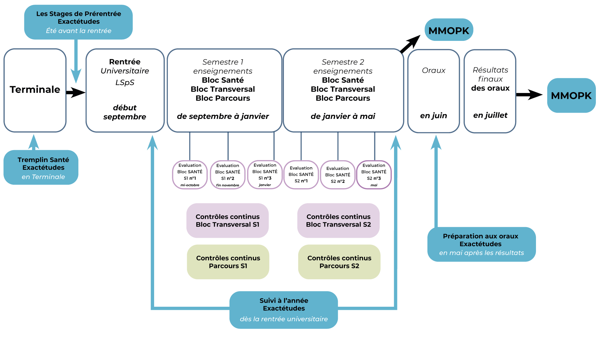 Etapes de la L1 Sciences pour la Santé | Exactétudes